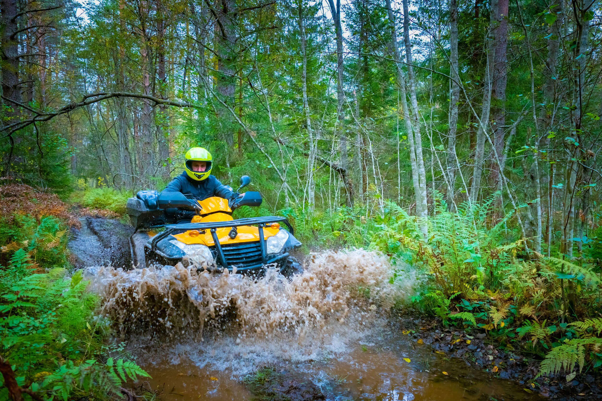 Jacksonville, Duval County, FL ATV Insurance.1
